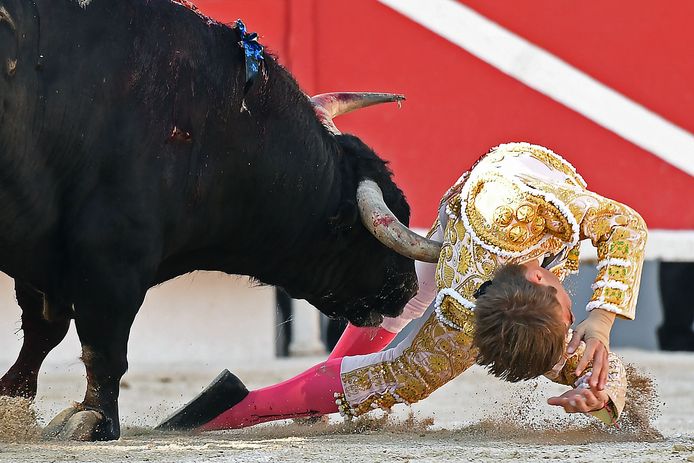 Torero (20) spaart leven van stier die hem herhaaldelijk spietste, Buitenland
