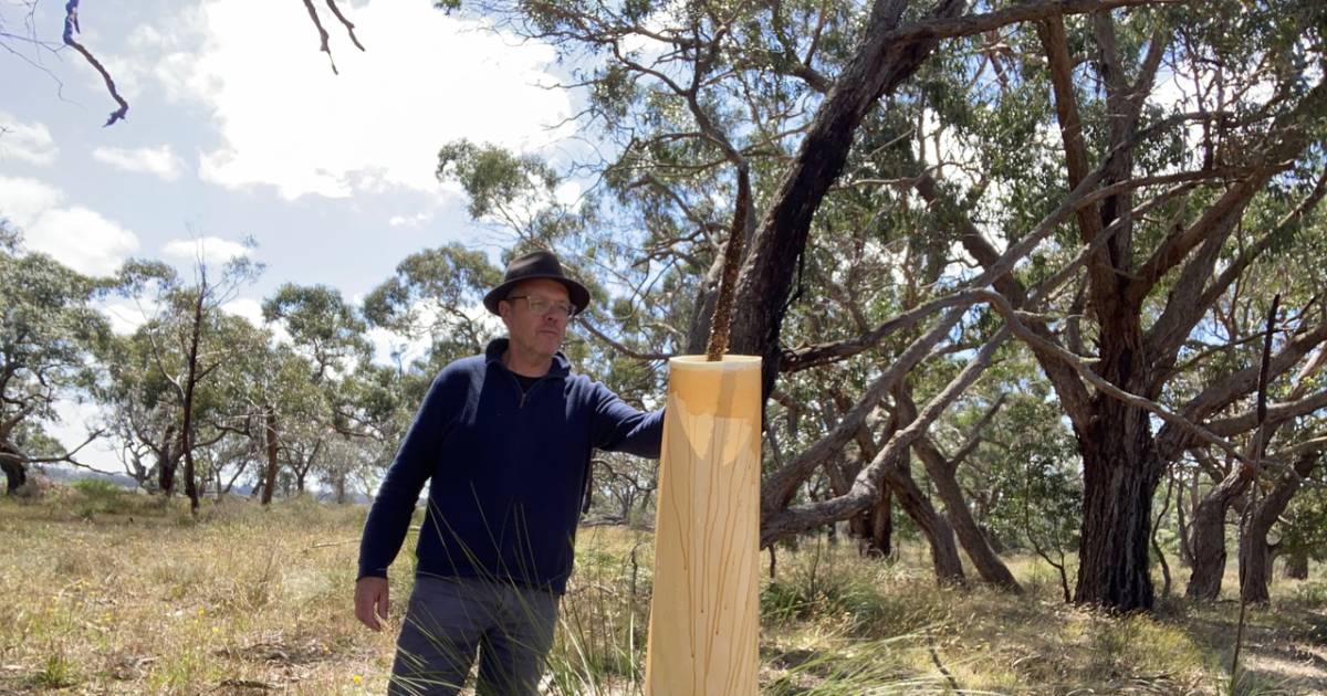 Stefan (55) uit De Hoeve wilde als kind al een avontuurlijk leven, woont nu in Australië en voelt zi