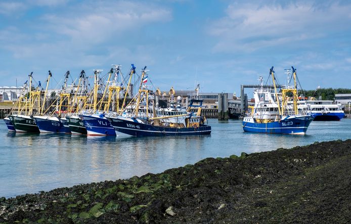 Vissers blokkeerden begin juli korte tijd de Buitenhaven in Vlissingen om hun ongenoegen te uiten over de ontwikkelingen in hun eigen sector en uit solidariteit met actievoerende boeren.