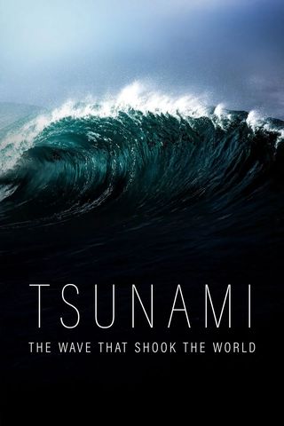 Tsunami: The Wave That Shocked The World