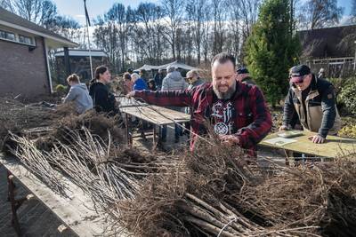 ‘Maart is een mooi moment om extra groen te planten’: boomplantdag van Duurzaam Oosterhout