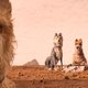 In deze antifascistische fabel spelen honden de hoofdrol