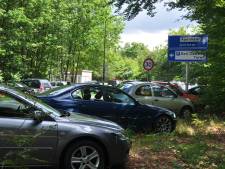 Buren Apenheul zijn fel tegen, maar Apeldoorn mag uitvalsweg gewoon als parking gebruiken