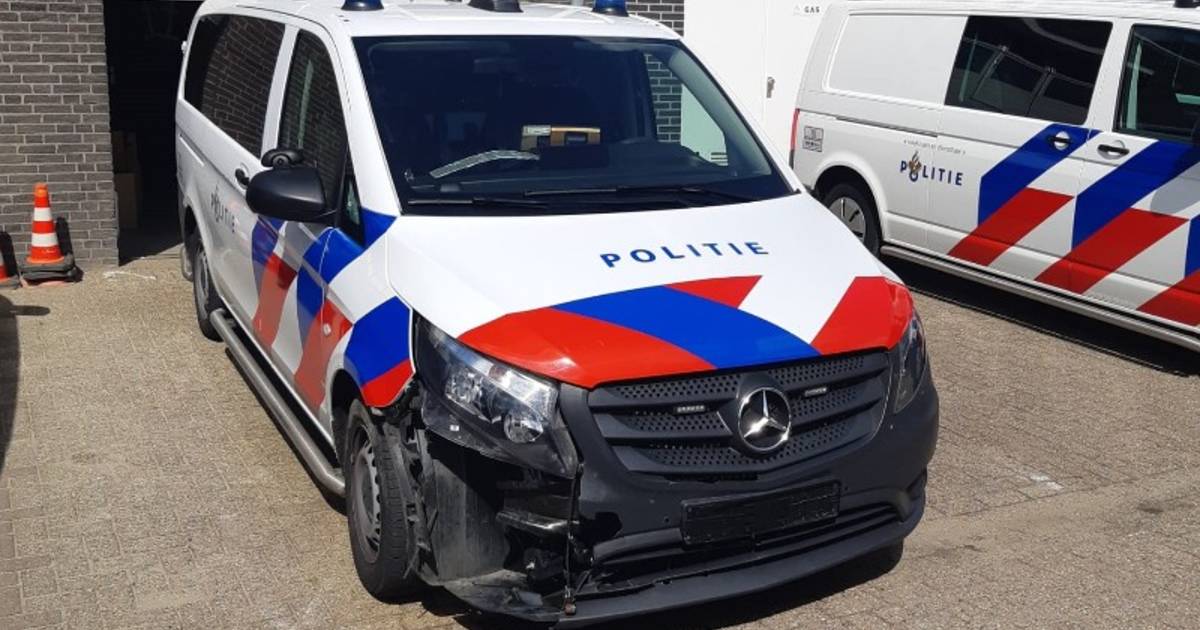 Politieauto botst op drachtige ree, twee babyreeën overleefden de klap niet