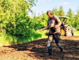 Drie nieuwe bloemenweides in Sint-Niklaas: “Goed voor 10.000 vierkante meter natuurpracht”