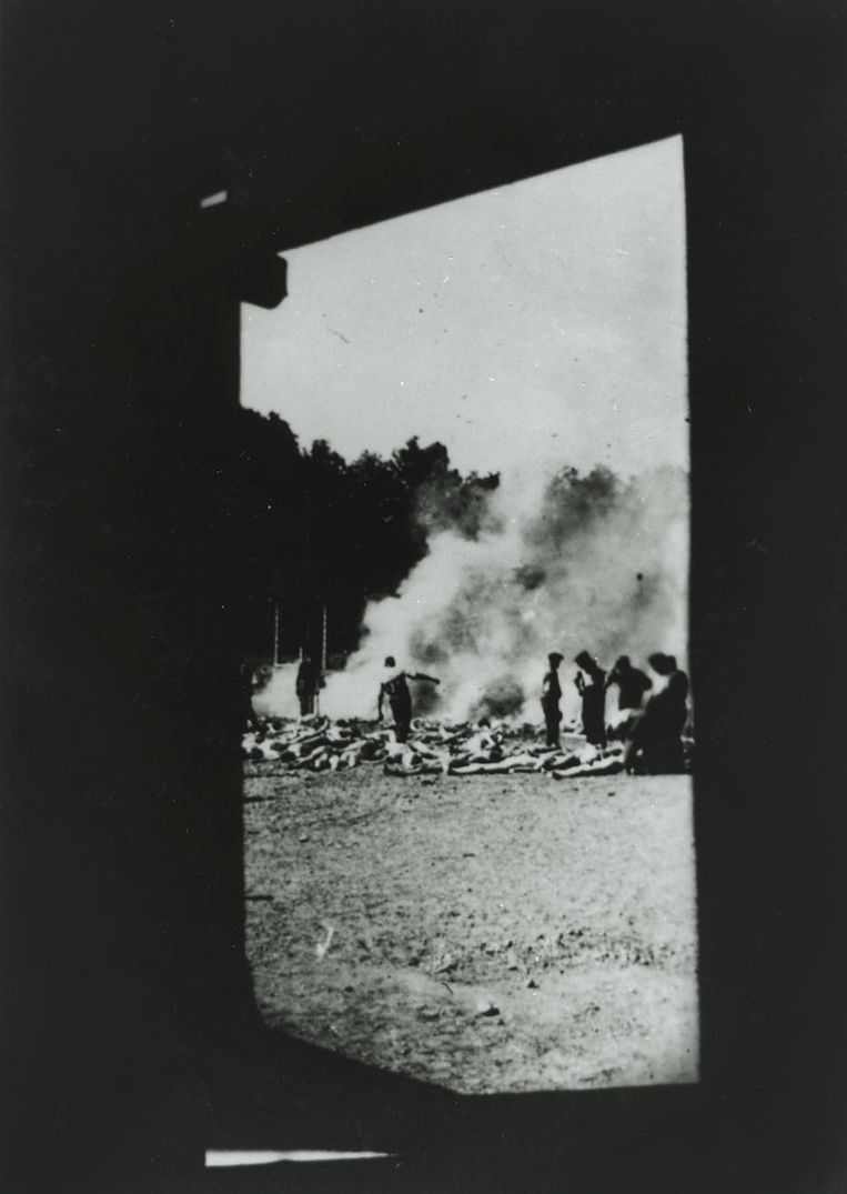 Een van de vier foto’s die Alberto Errera in augustus 1944 heimelijk in Auschwitz maakte en waarmee hij zijn leven op het spel zette. Deze Griekse gevangene werkte bij het Sonderkommando, een groep gevangenen die gedwongen werkte in en rond de gaskamers. Het is onbekend hoe hij aan een camera kwam. De negatieven werden in een tube tandpasta uit Auschwitz gesmokkeld.
 Beeld Auschwitz museum/afdrukken: particuliere collectie Robert Jan van Pelt.
