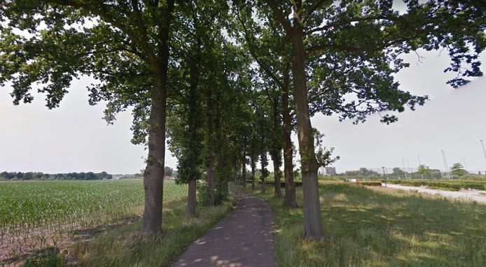 De Schammersteeg.