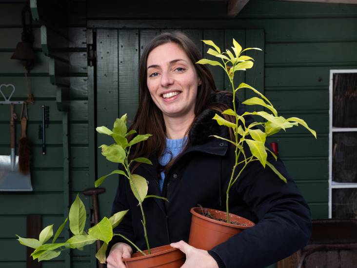 Het mooie weer lonkt, tijd om aan de slag te gaan met de moestuin