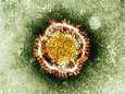 Cinquante-cinquième décès du Coronavirus en Arabie