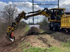 ProRail gaat nu ook dassenburchten in Vught uitgraven, hoopt werkzaamheden eind van de week af te ronden