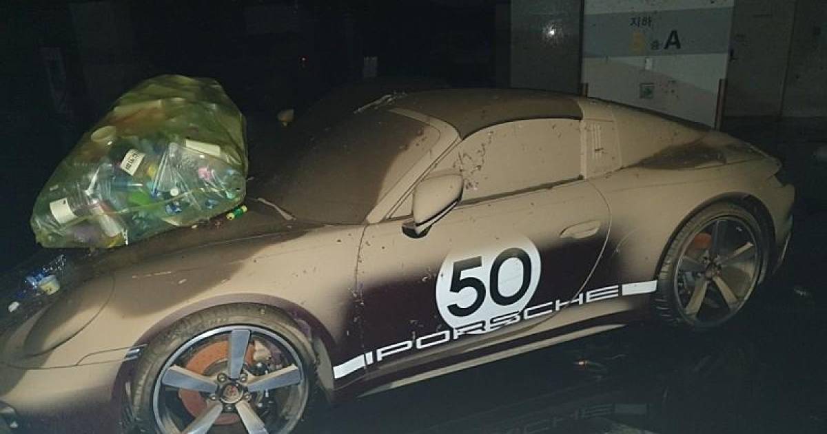 Che aspetto hanno le supersportive dopo una giornata sott’acqua?  |  Frasi