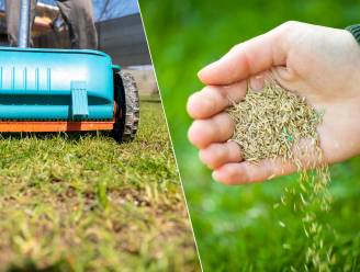 “April is misschien wel dé drukste maand op de tuinkalender”: deze klusjes staan je te wachten
