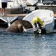 Rondzwervende en boot-zinkende walrus Freya afgemaakt in Oslo