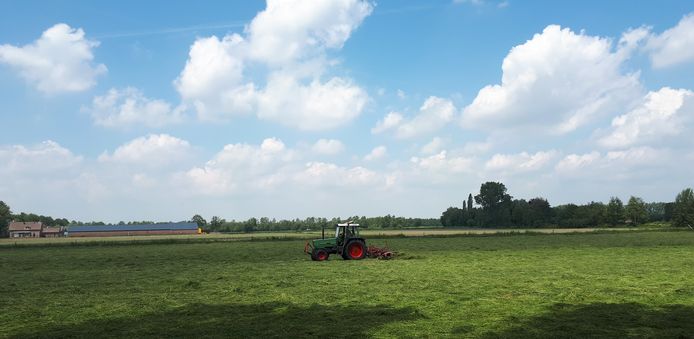 Een boer schudt gras in het buitengebied tussen Heesch en Vinkel. Op de achtergrond het terrein waar Heesch West komt, met ook grote windmolens.