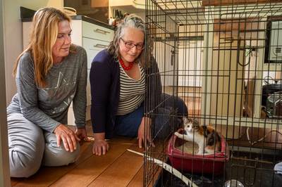 Chaamse Sandra vangt zwerfkatten, en dat worden er steeds meer: ‘Steriliseer ze alsjeblieft’