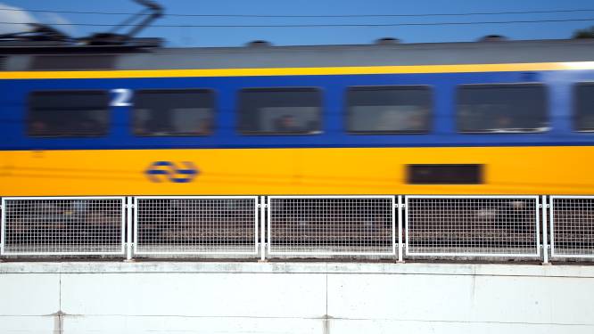 Weer treinen tussen Den Bosch en Eindhoven na wisselstoring en defecte bovenleiding