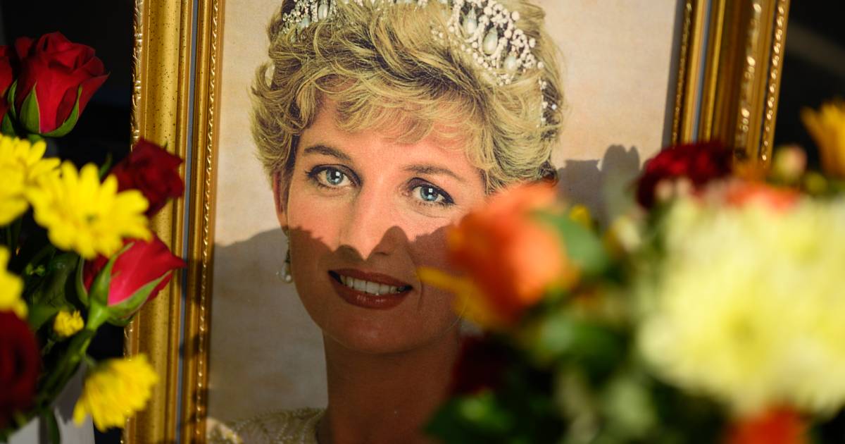 Ex guardia del corpo della principessa Diana: se fossi responsabile, sarebbe ancora viva |  Proprietà