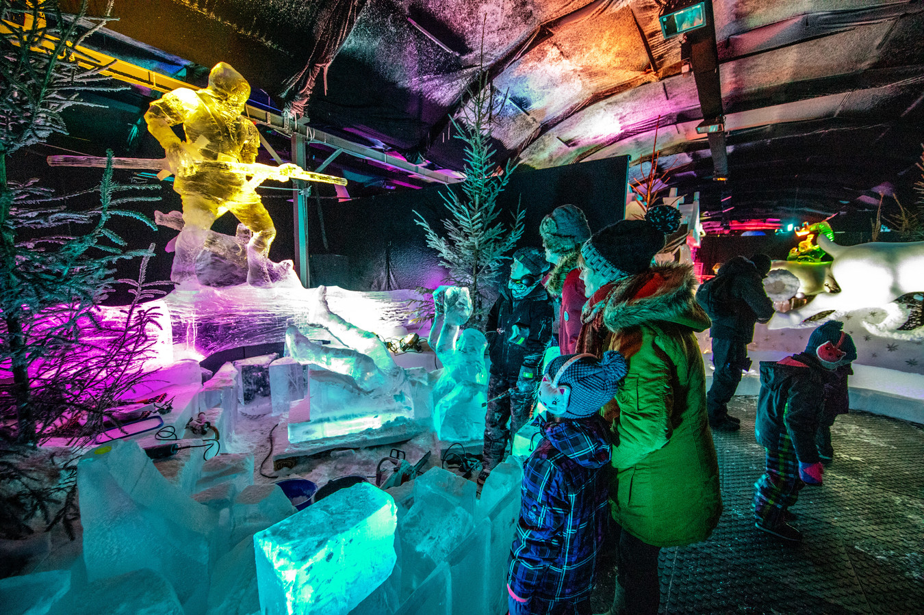 IJsbeelden Festival in Zwolle afgeblazen ‘Alles lag klaar’, maar