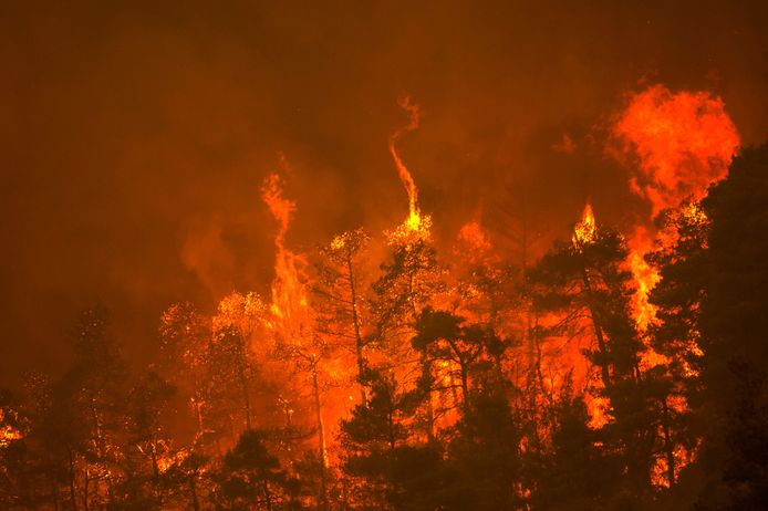 Een zware brand bedreigt vanmorgen het dorp Gouves op het eiland Evia, het tweede grootste Griekse eiland, ten noorden van Athene.