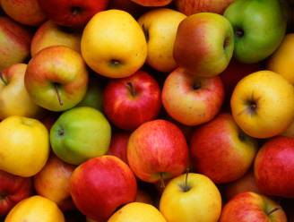 Appelen laten persen in mobiele fruitpers aan Boembekemolen in Michelbeke