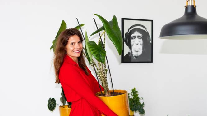 Suzanne werd gegrepen door het groene virus: ‘Planten hebben verbindende kwaliteiten’