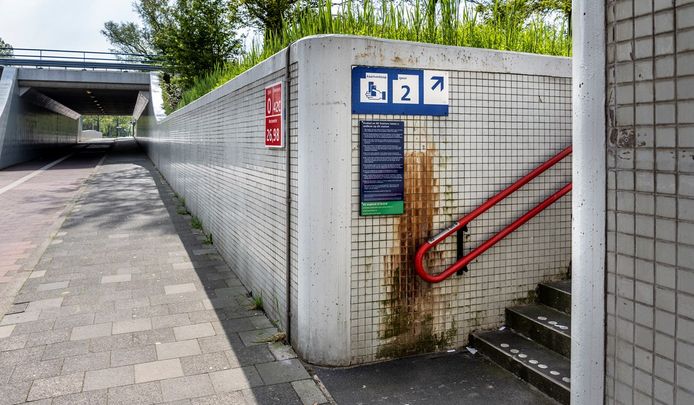 Het huidige station Dordrecht Zuid is verouderd en verpauperd.