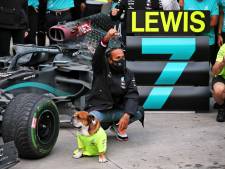 Hamilton evenaart record Schumacher; zijn zeven wereldtitels in beeld