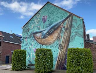 Ook tweede streetartproject klaar: herkenbare fauna en flora in kunstwerk