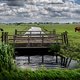 Zo simpel kan het zijn: een laagje klei op het veen remt de CO2-uitstoot door veenafbraak