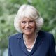 Camilla reageert voor het eerst op het nieuws dat ze koningin wordt: “Zeer vereerd”
