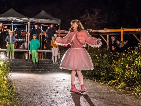 Muzee en Zuiderparktheater gered dankzij extra geld van gemeente