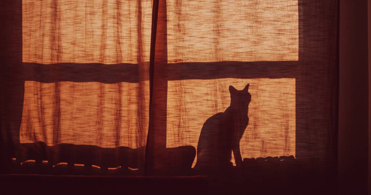 Houd het huis koel (zonder airco) met deze tips