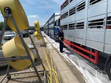 Diertransport niet boven 30 graden? Veetransporteurs zien niets in nieuwe aanscherping