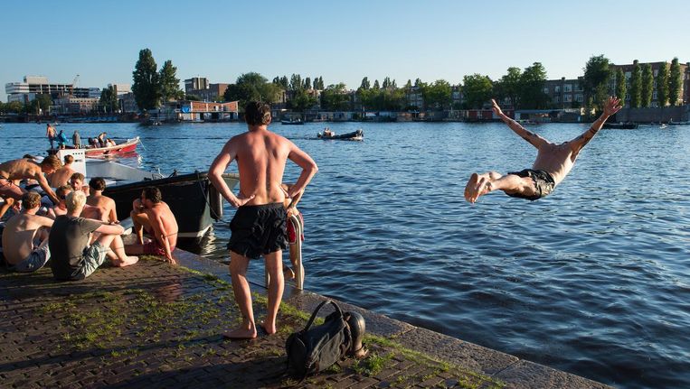 14 Plekken Waar Je Kunt Zwemmen In Amsterdams Natuurwater Het Parool