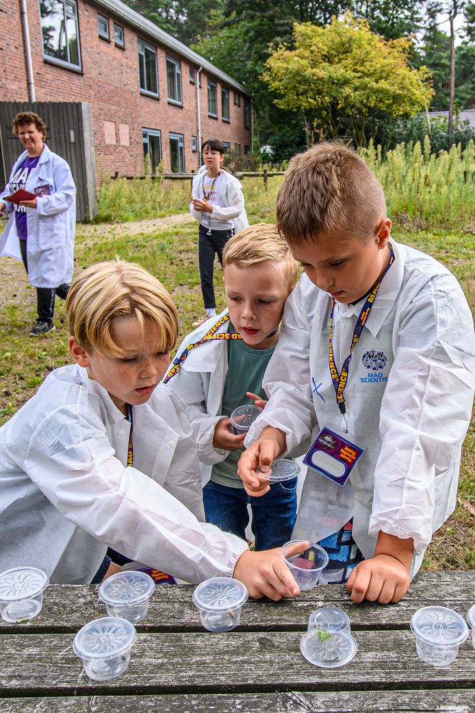 2021-08-30 - BERGEN OP ZOOM - Foto: Pix4Profs/Peter Braakmann - Mad Science start vandaag bij StayOkay in Bergen op Zoom. Kinderen gaan het bos in, doen proefjes bij StayOkay