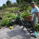 RIVM: eet geen groente uit moestuin vlak bij chemiebedrijf Chemours, en pas op met gewassen iets verderop