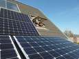 Barnevelders en Nijkerkers kritisch: zonnepanelen op het dak? Graag, maar géén windmolen in de tuin