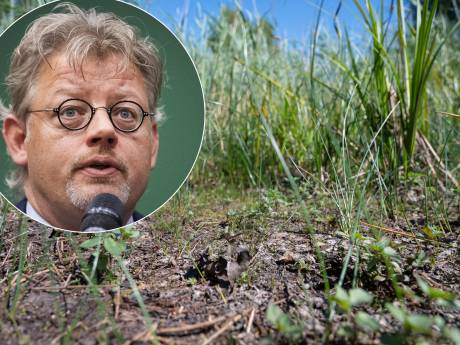 Provincie: Gelderse natuur heeft stikstofmaatregelen hard nodig, géén stop op vergunningen