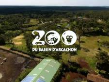 Le zoo du Bassin d'Arcachon va évacuer ses animaux en raison des fumées d’incendies