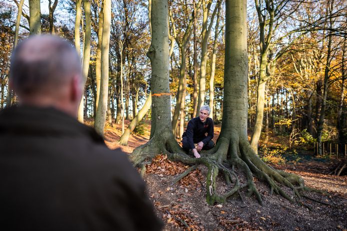 Lodewijk Lamers legt uit waarom je deze twee met hun wortels verstrengelde beuken niet van elkaar moet scheiden. Kees Hin kijkt toe.