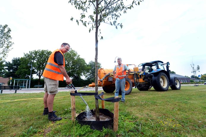 De plantsoenendienst krijgt precies in beeld waar een boom of plantenbak hoognodig water moet krijgen. Dat is met name van belang voor de overlevingskansen van jonge bomen, die de eerste drie jaar een groot risico lopen te verdorren.