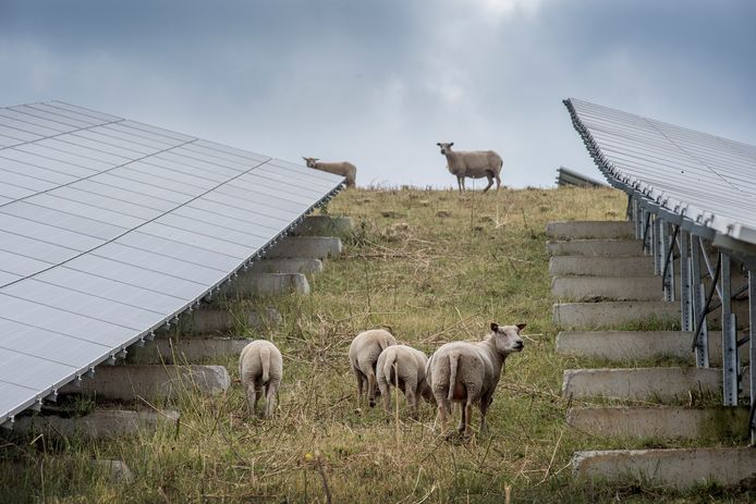 Dit is ongeveer het beeld dat vanaf 2021 in Bathmen te zien moet zijn