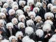 Bizar record: 402 Einsteins op pad in Toronto