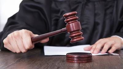 Opeens staan er drie beschermde bomen in zijn tuin, en daar mag bewoner niet zomaar het snoeimes in 