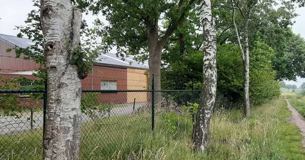 Ongeloof bij eigenaar huurloods martelcontainers: 'Het is hier zo stil. Je hoort elke gil' - BN DeSt