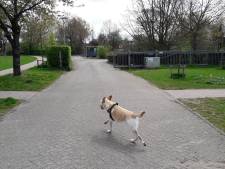 Fel protest tegen plannen bouw van 60 woningen in Park Schothorst