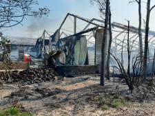 Brand verwoest pompoenbedrijf: ‘Wat begon als een mooie, zonnige dag eindigt in een nachtmerrie’