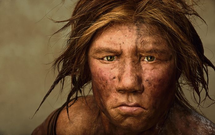 Op basis van wetenschappelijke gegevens werd in 2008 deze reconstructie van een neanderthalervrouw gemaakt.