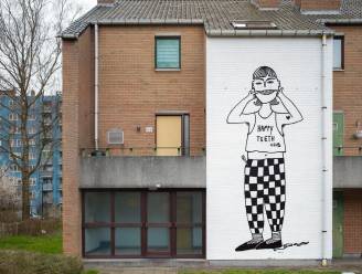 Nieuwe metershoge muurschildering in Nieuw Gent duidt op belang van goede tandverzorging