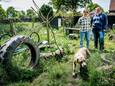 Asielhond Jara snuffelt rond in hondensnuffeltuin Pawsitive, terwijl tuineigenaresse Esther Lips en hondengedragsdeskundige Linda van Turnhout van het Bredase asiel toekijken.